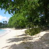 Barbados, Gibbs Bay, looking north