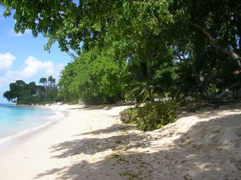 Barbados, Gibbs Bay, looking north