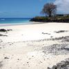 Comoros, Grande Comore, Chomoni beach, lava