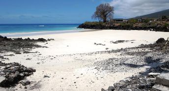 Comoros, Grande Comore, Chomoni beach, lava