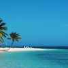 Fiji, Leleuvia island, beach, palm