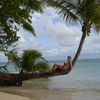 Fiji, Lomaivitis, Leleuvia island, beach, palm over water