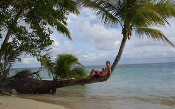 Fiji, Lomaivitis, Leleuvia island, beach, palm over water