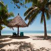 Fiji, Lomaivitis, Wakaya island, beach, palms