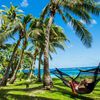 Fiji, Mamanuca Islands, Tokoriki island, palms