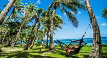 Fiji, Mamanuca Islands, Tokoriki island, palms