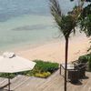 Fiji, Matei beach, Taveuni Palms