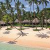 Fiji, Taveuni, Laucala island, beach, palm over water
