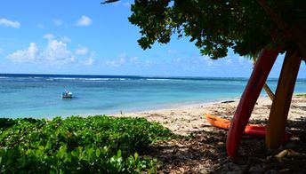 Fiji, Taveuni, Lavena beach, kayaks