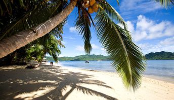 Fiji, Taveuni, Matagi island, beach, palm