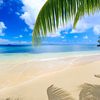 Fiji, Taveuni, Matagi island, beach, wet sand