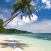 Fiji, Taveuni, Qamea island, palms over water