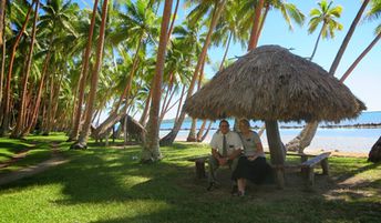 Fiji, Vanua Levu, Korovatu beach, palms