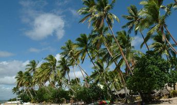 Фиджи, Вити-Леву, Остров Робинзона Крузо, пляж, пальмы