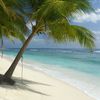 India, Laccadives, Agatti, beach, palm over water