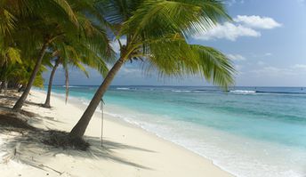 India, Laccadives, Agatti, beach, palm over water