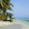 India, Laccadives, Bangaram, beach, palms