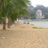 Macau, Cheoc Van beach (Bamboo Bay), palms