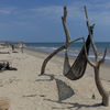 Peru, Mancora region, Zorritos beach, hammock