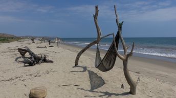 Peru, Mancora region, Zorritos beach, hammock
