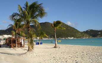 Saint Martin, Great Bay beach (Philipsburg), palms