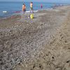 Turkey, Antalya region, Belek beach, pebble