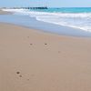 Turkey, Antalya region, Belek beach, wet sand