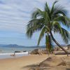 China, Hainan, Tianya Haijiao beach, palm