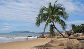 China, Hainan, Tianya Haijiao beach, palm