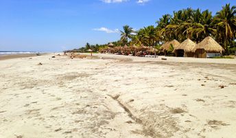 El Salvador, Costa del Sol beach, palms