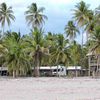 El Salvador, Playa El Esteron beach, palms