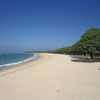 Indonesia, Bali, Nusa Dua beach, trees