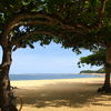 Indonesia, Bali, Sanur beach, trees