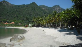 Malaysia, Langkawi, Burau Bay beach, palms
