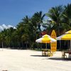 Malaysia, Langkawi, Cenang beach, palms