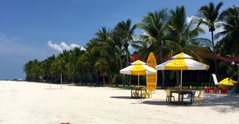 Malaysia, Langkawi, Cenang beach, palms