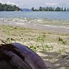 Malaysia, Langkawi, Kok beach, grass