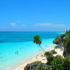 Mexico, Tulum beach, palm tree