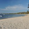 Mozambique, Bazaruto Isl, Pestana beach, palm