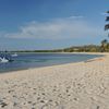 Mozambique, Bazaruto Isl, Pestana beach, palm