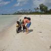 Mozambique, Quirimba island, beach, children