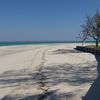 Mozambique, Quirimbas, Matemo island, beach shadow