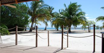 Mozambique, Quirimbas, Metundo island, beach, palms