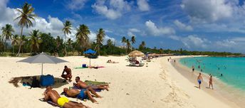 Saint Martin, Mullet Bay beach, palms