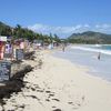 Saint Martin, Orient Bay beach, seagrass