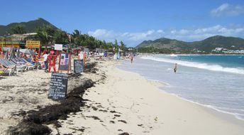 Saint Martin, Orient Bay beach, seagrass