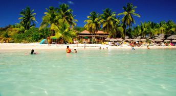 Saint Martin, Pinel island, palms