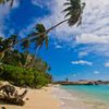 Seychelles, Mahe, Anse Forbans beach, palms