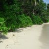 Seychelles, Mahe, Grand Anse beach, bushes