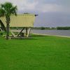 USA, Louisiana, Cypremort Point beach, grass